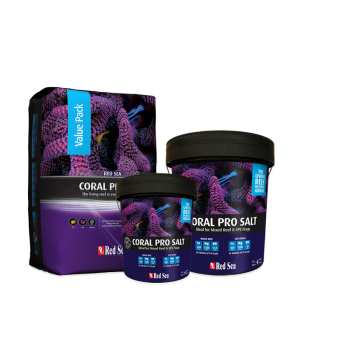 Coral Pro Salt